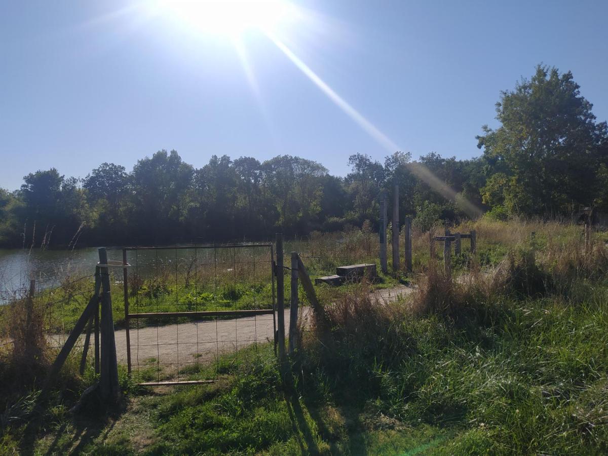 Gite La Pironniere - Piscine, Nature, Au Bord De La Riviere Montreuil-sur-Maine Εξωτερικό φωτογραφία